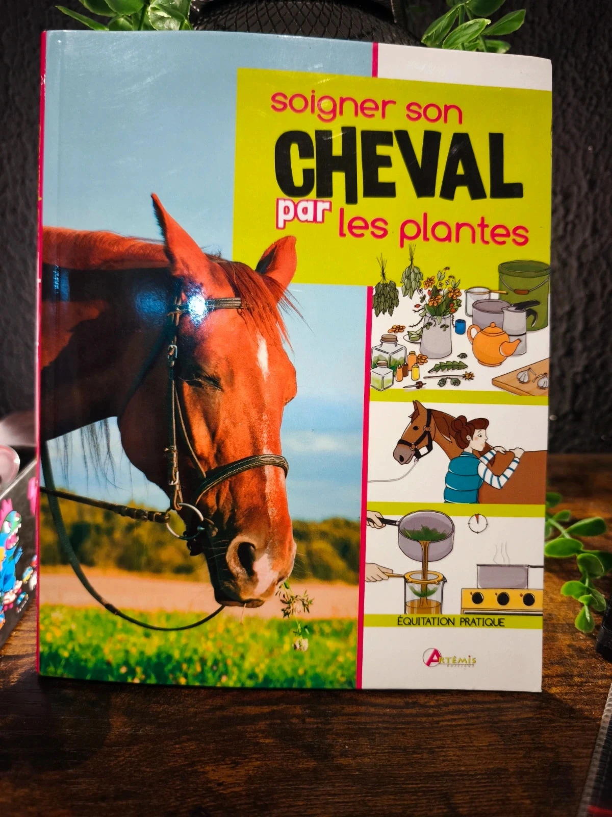 Soigner son cheval par les plantes